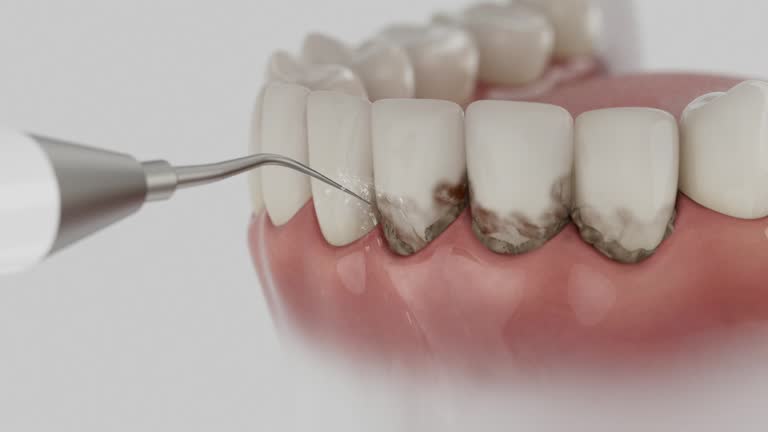 Reliable Dental contractor in Texas City, TX by Dentist Open Now